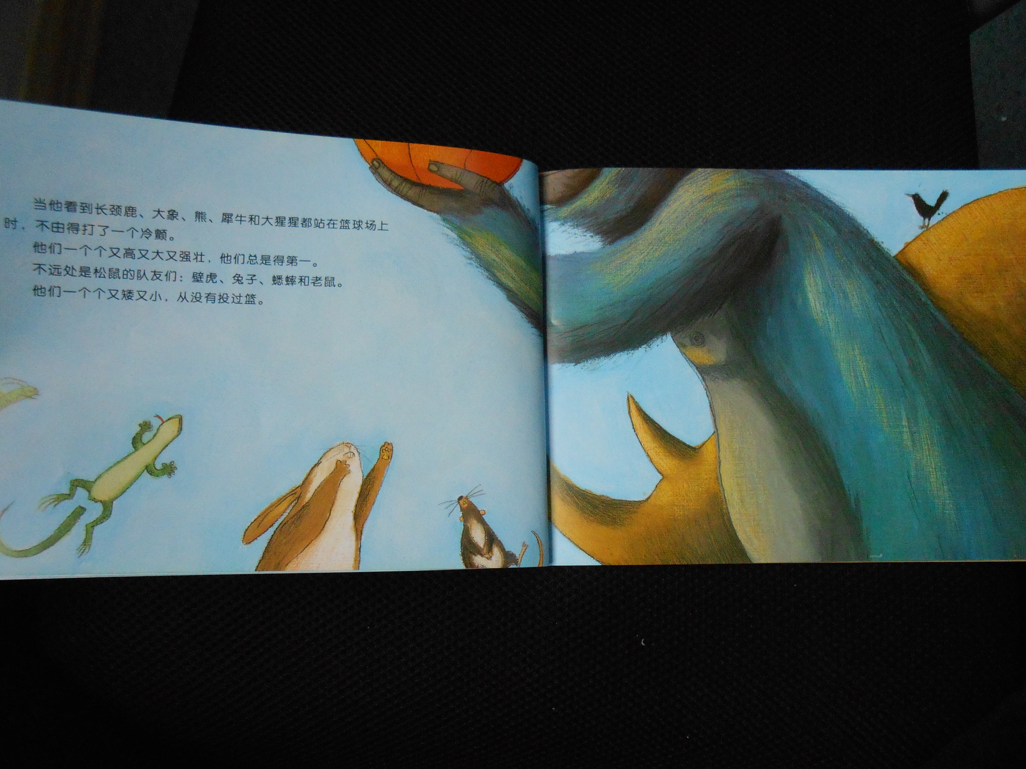 小个也能打篮球 (05),绘本,绘本故事,绘本阅读,故事书,童书,图画书,课外阅读